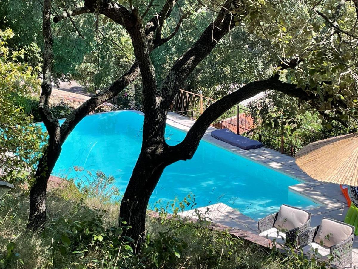 Jolie Annexe Du Mas Dans Le Coeur De La Garrigue Nimoise Villa Nîmes Buitenkant foto